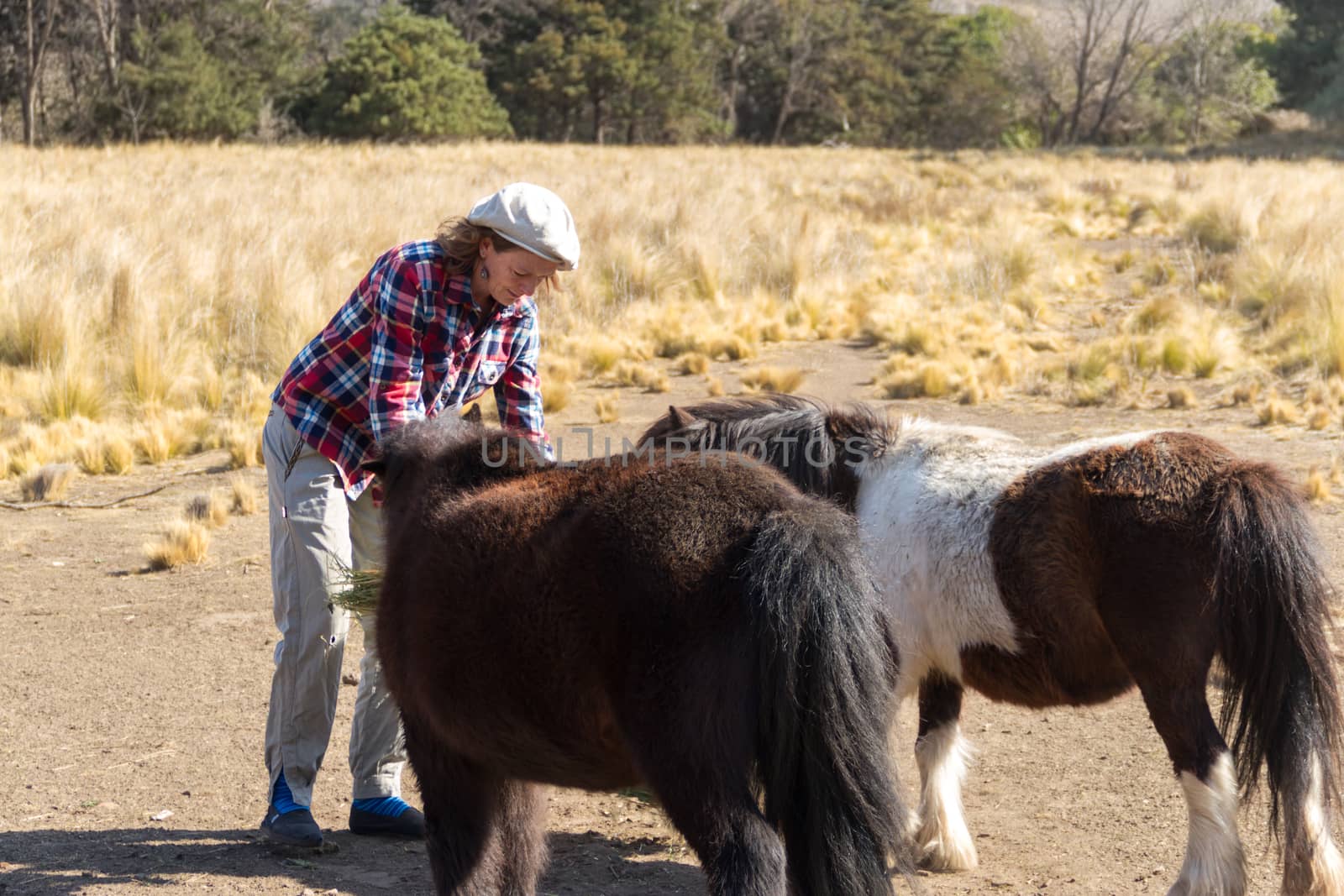 woman who works in the field with ponies by GabrielaBertolini