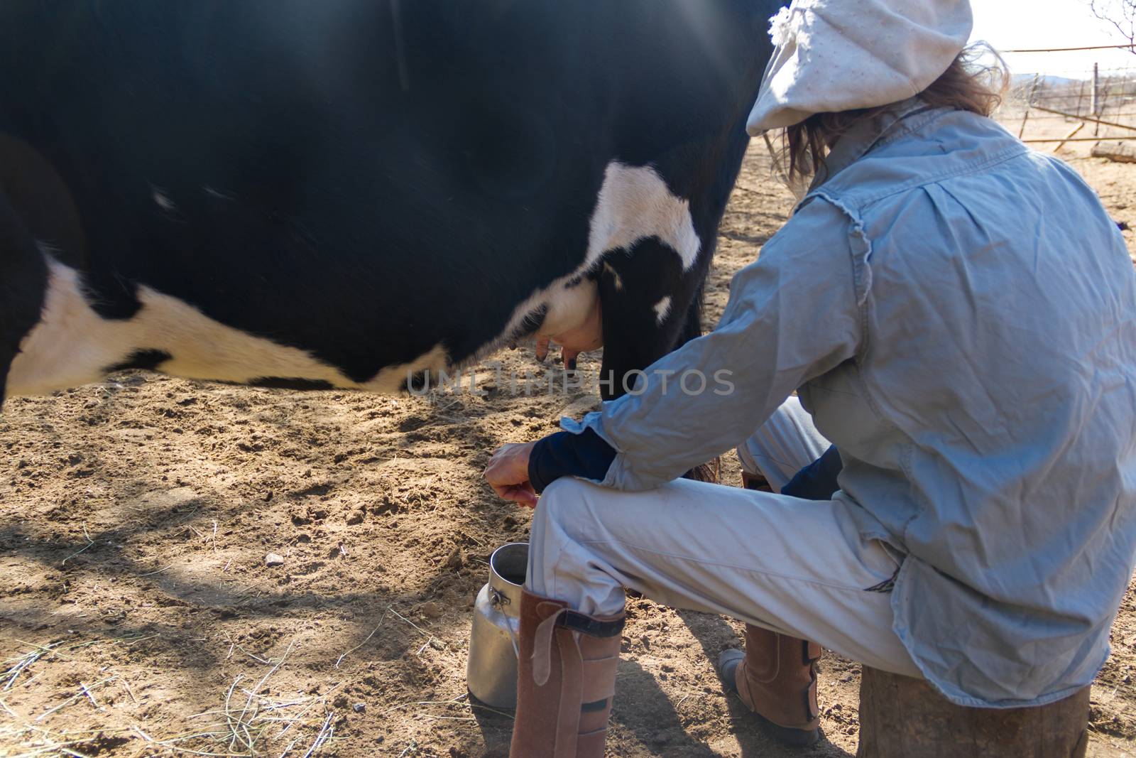 rural working woman milking the cows