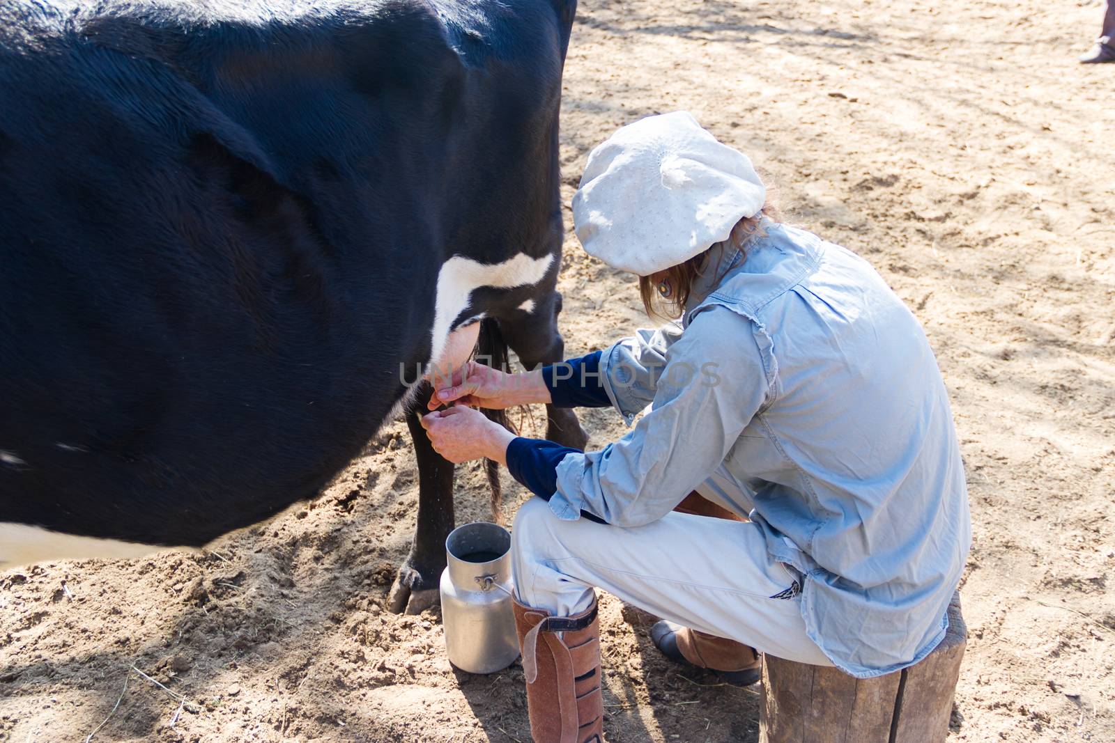 rural working woman milking the cows by GabrielaBertolini