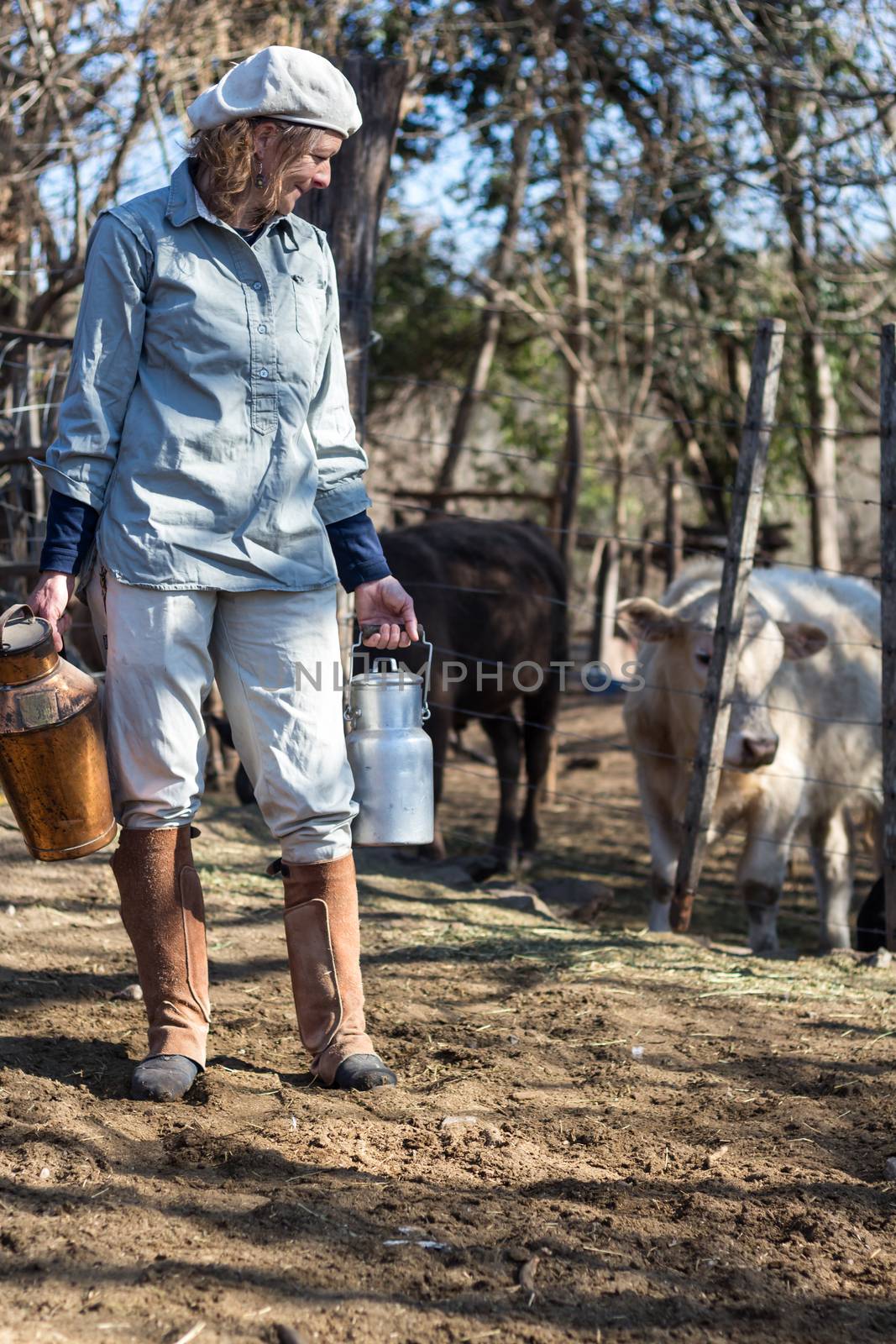 rural working woman milking the cows