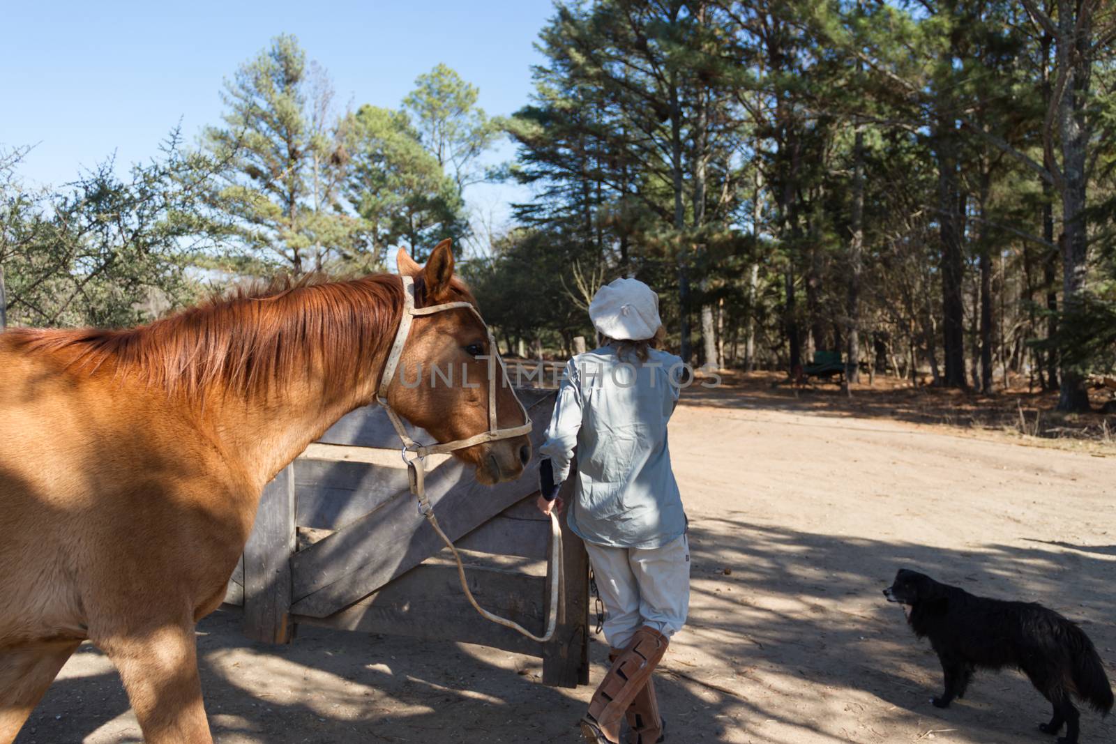 rural woman working in the field leading horse