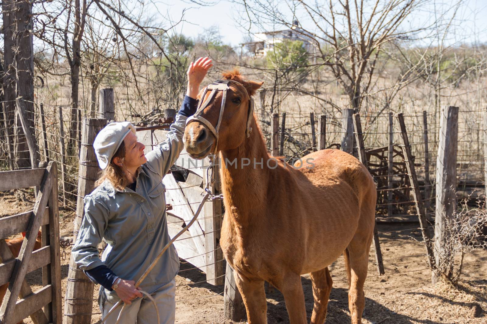 rural woman working in the field leading horse