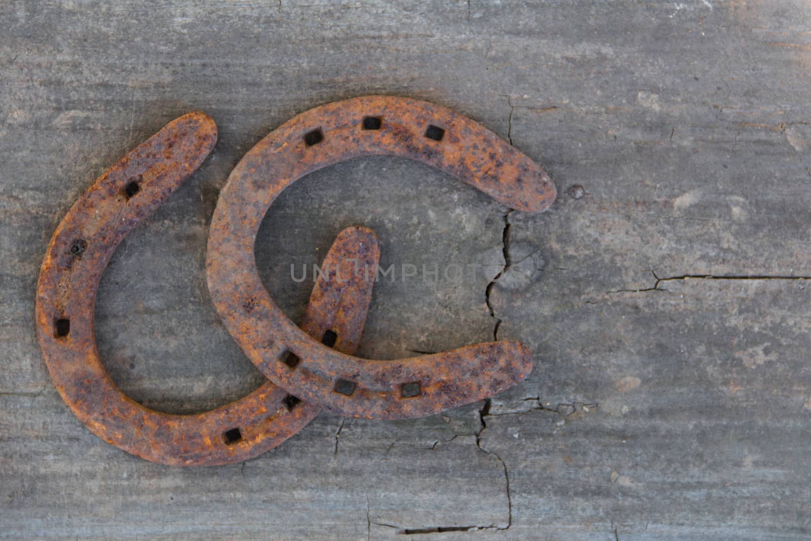old rusty horseshoes on rustic wood with place for text