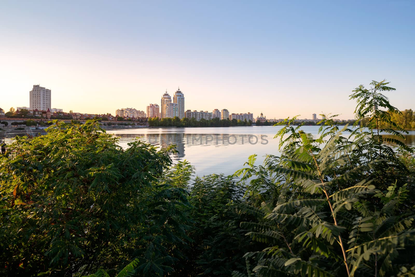 High Obolon buildings near the Dnieper river in Kiev, Ukraine. Blue clear sky and reflection in the water. Various plant and vegetation in the foreground