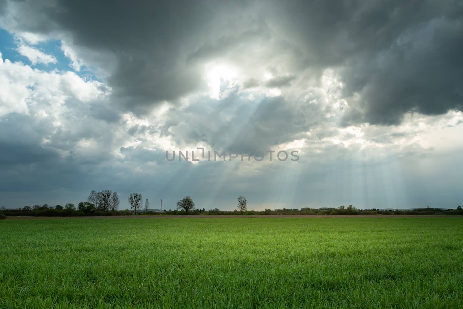 Sunrays and clouds over a green field, spring view
