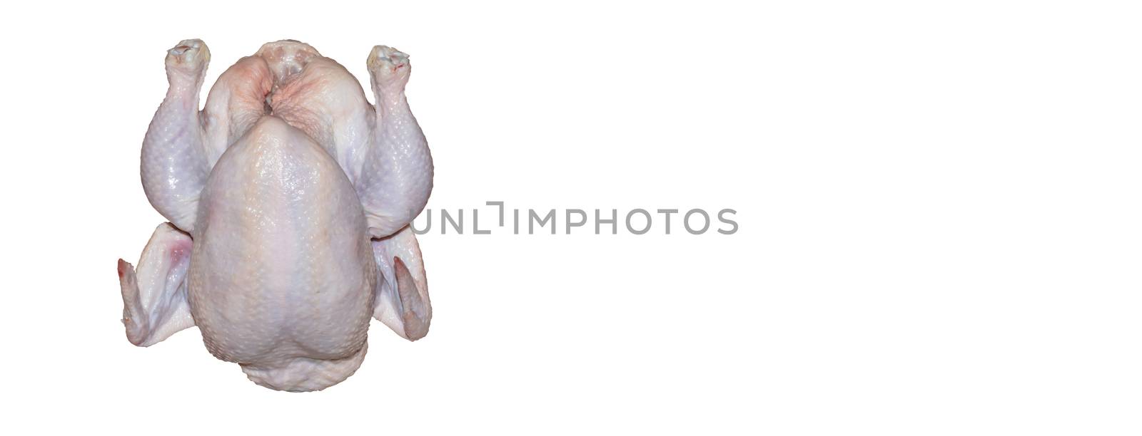 A top close-up shot of a whole chicken. Isolated. by DamantisZ