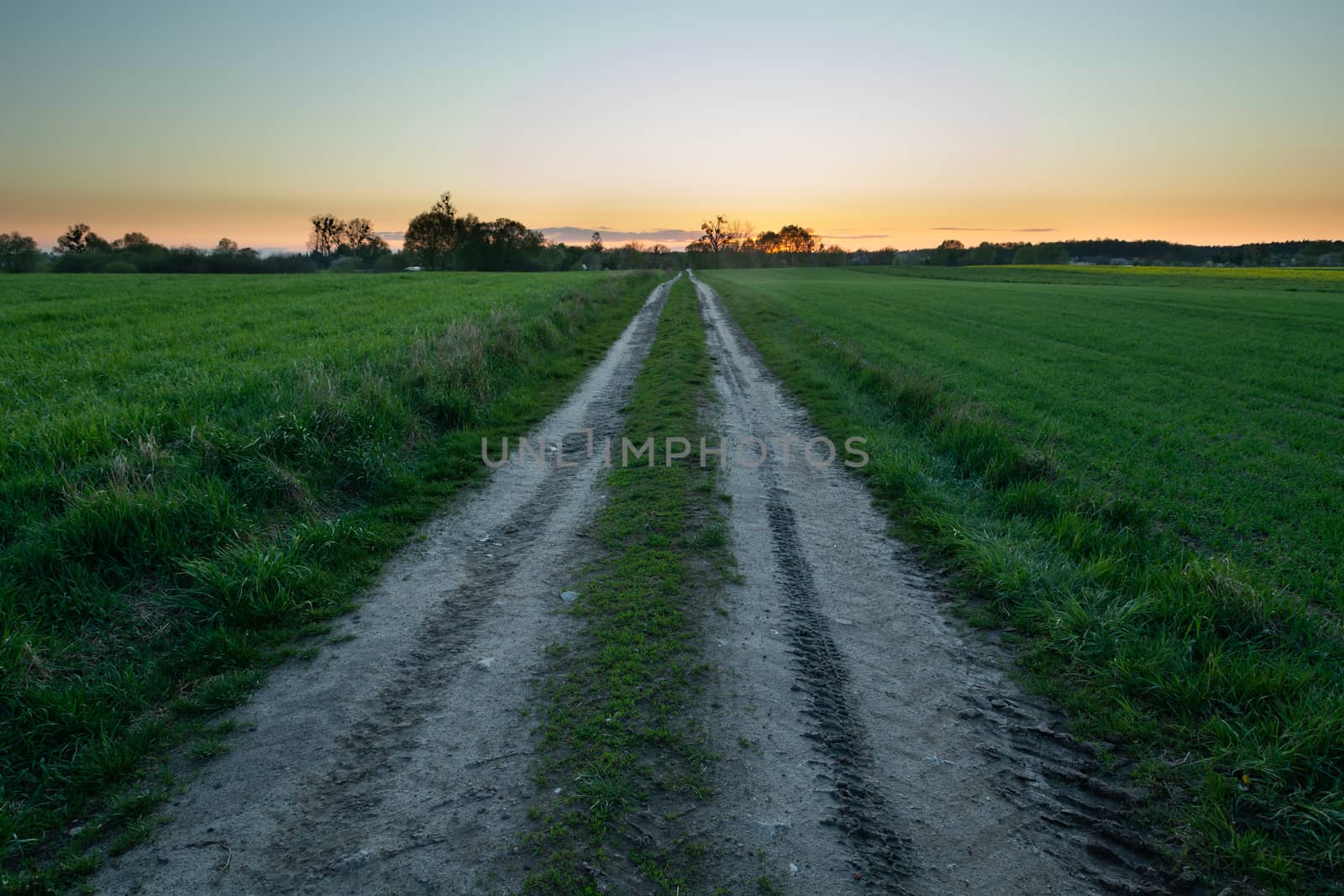 Dirt road through green fields, view after spring sunset