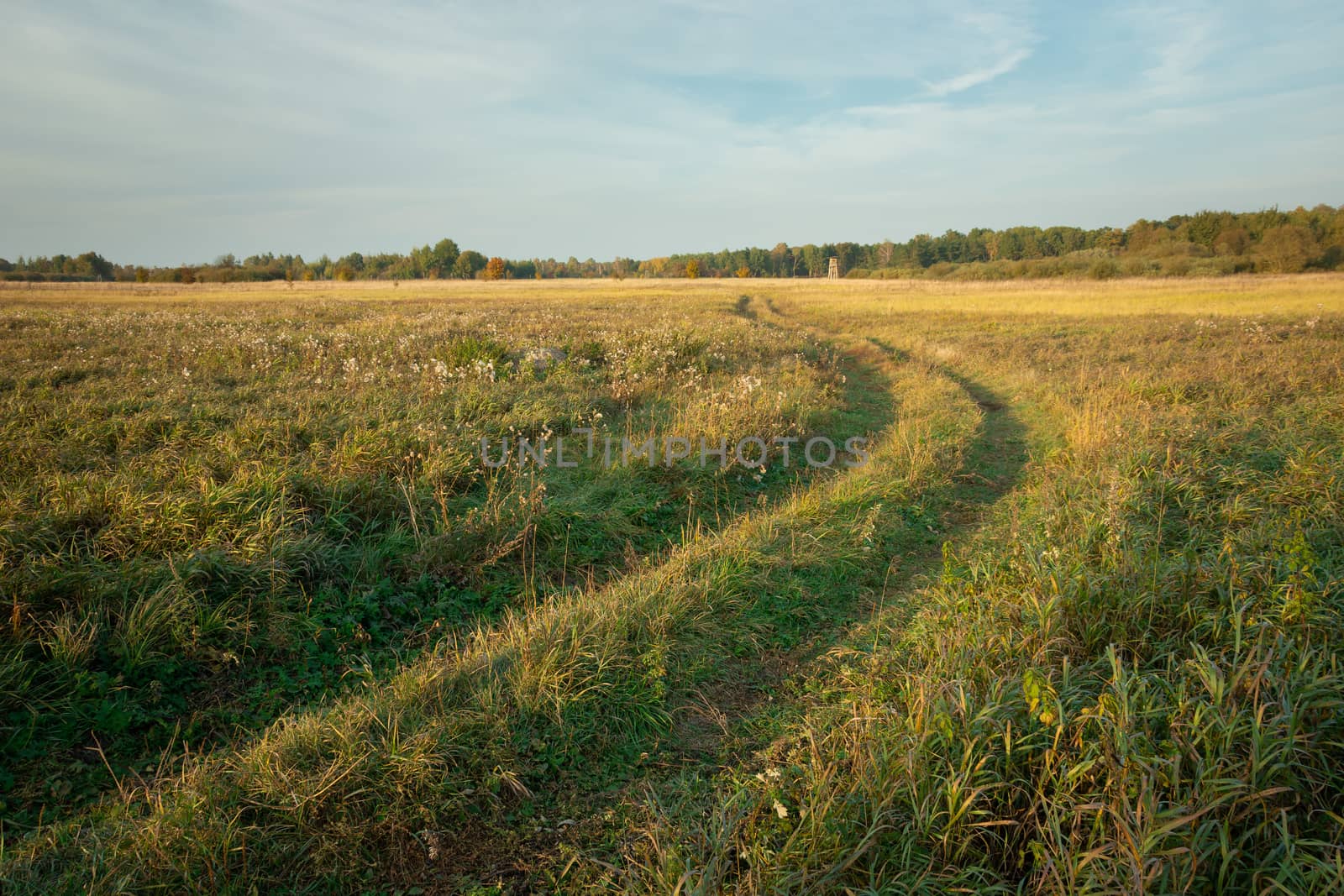 Ground road through a wild meadow in autumn by darekb22