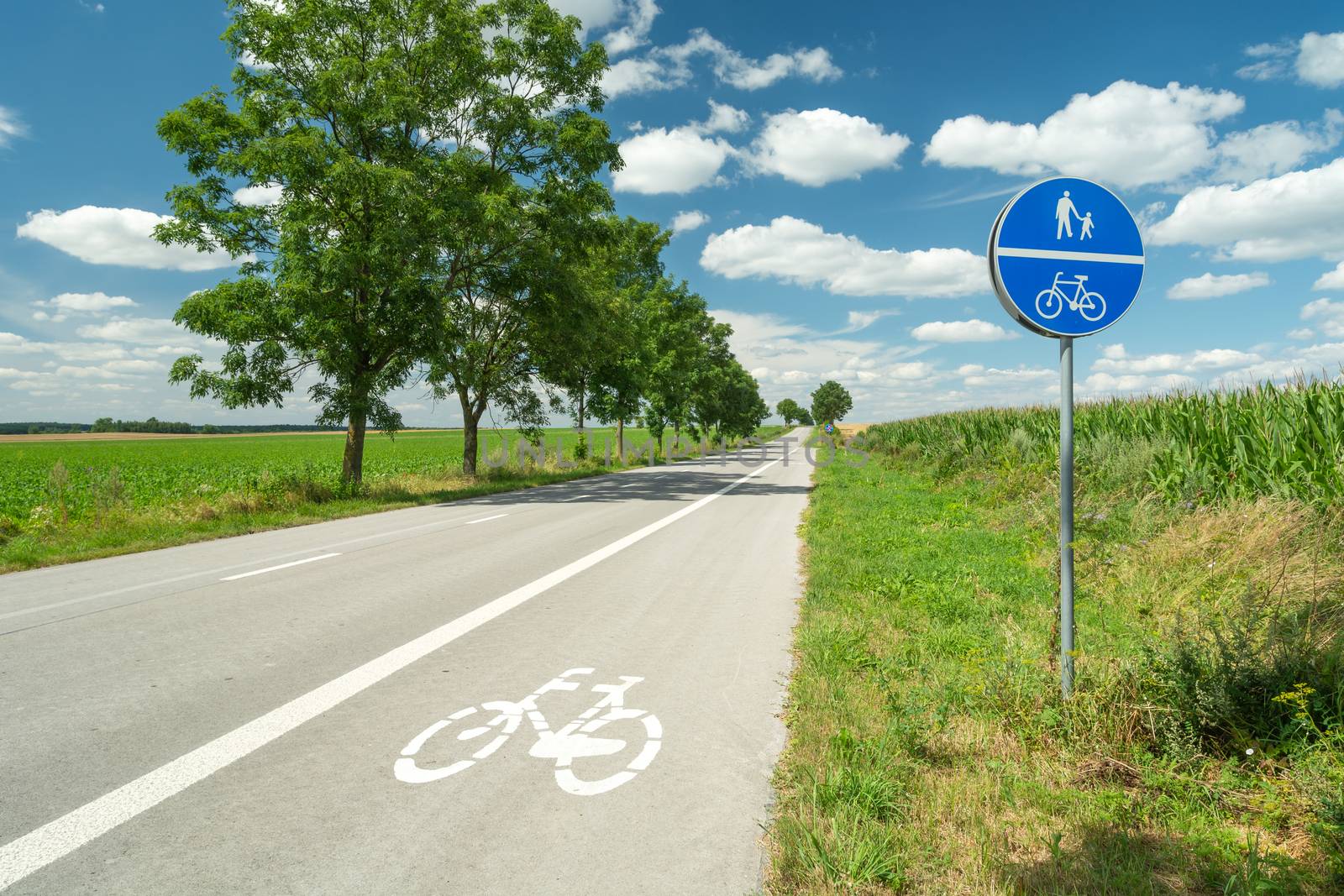 Bike lane next to the highway and information sign by darekb22