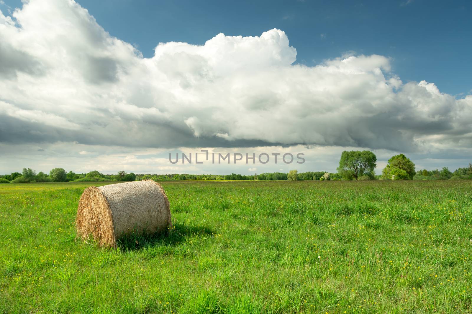 Hay bale on green meadow and big white cloud on blue sky, summer view