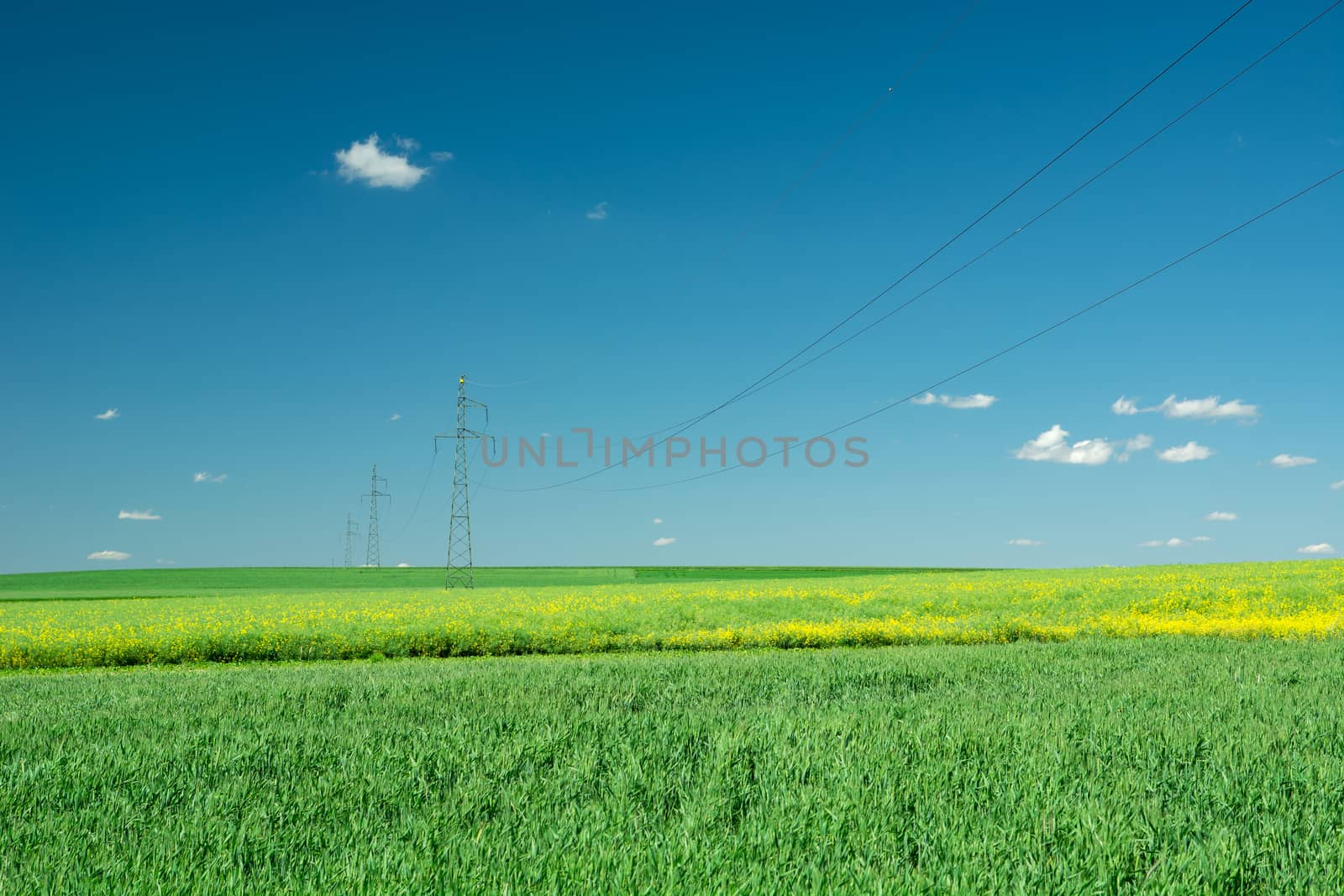 Electric poles standing in the green field