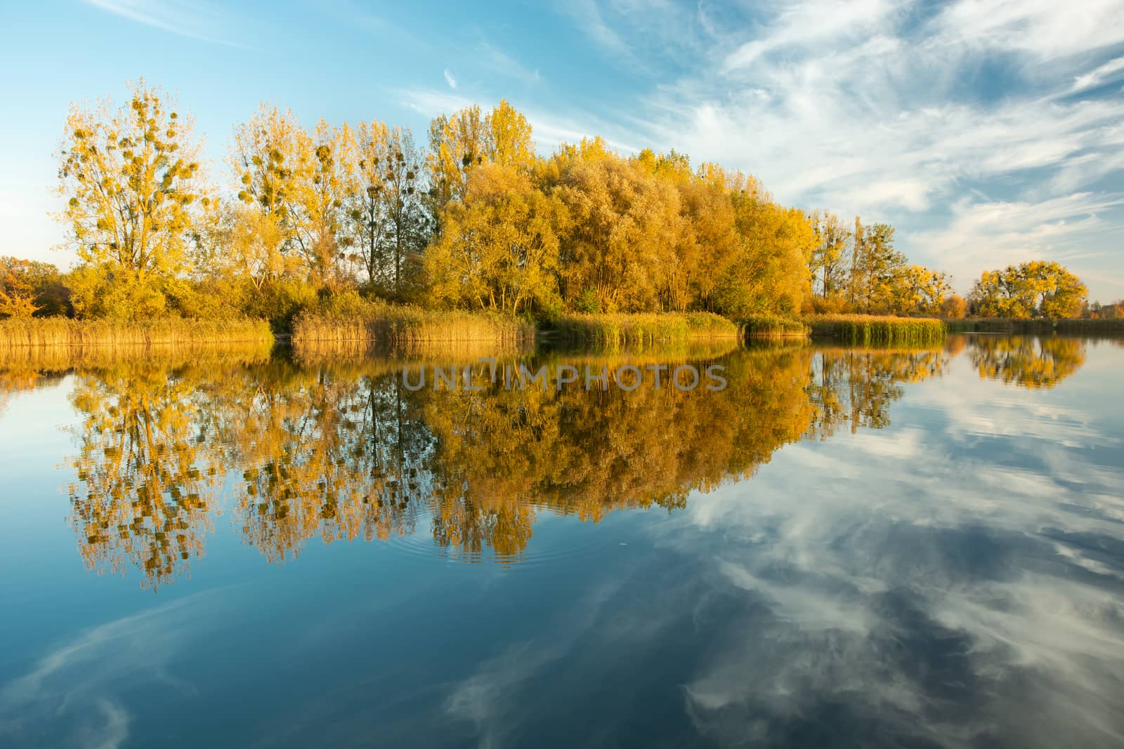 Autumn trees and clouds reflected in the lake water, October sunny day