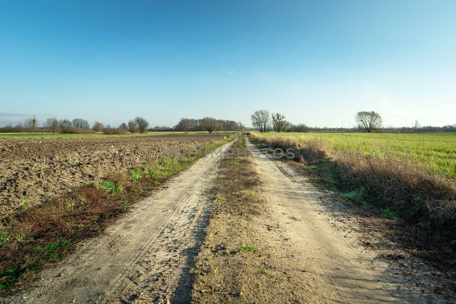 A sandy road among the fields towards the horizon, spring view