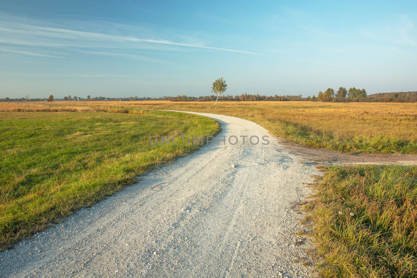 Rural road through meadows and blue sky, sunny day