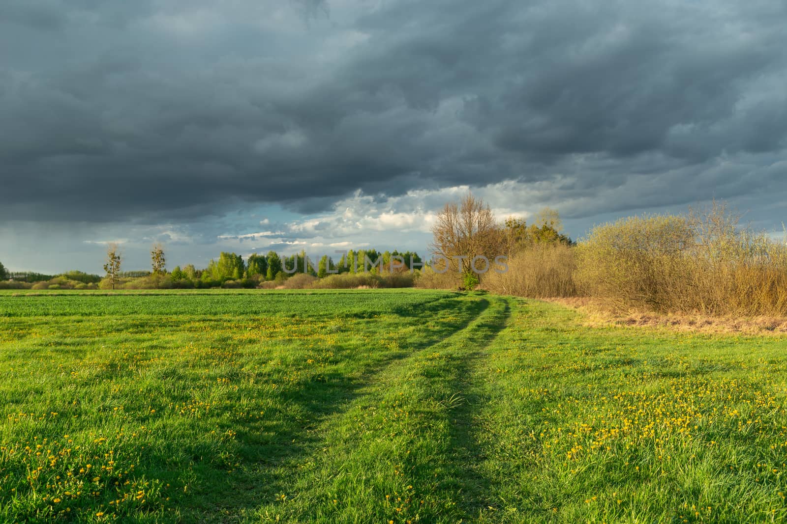 Path through a green meadow with trees and dark rainy clouds at the sky, sunny spring view