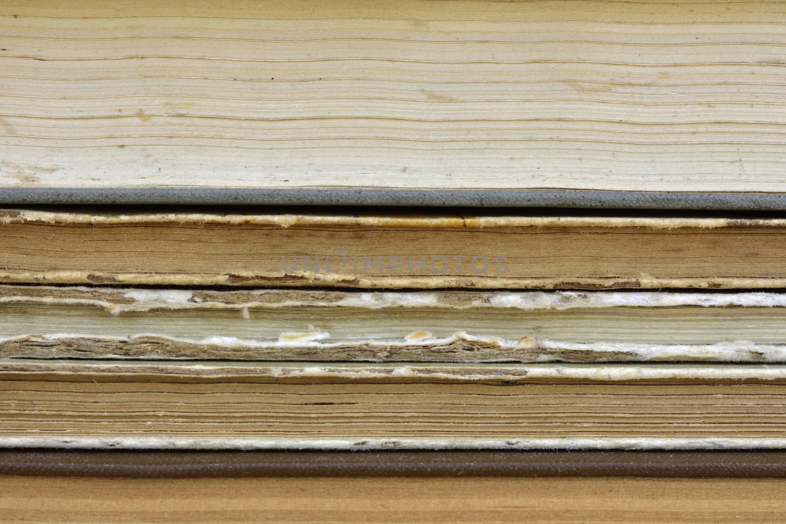 vintage textured background from stacked old books