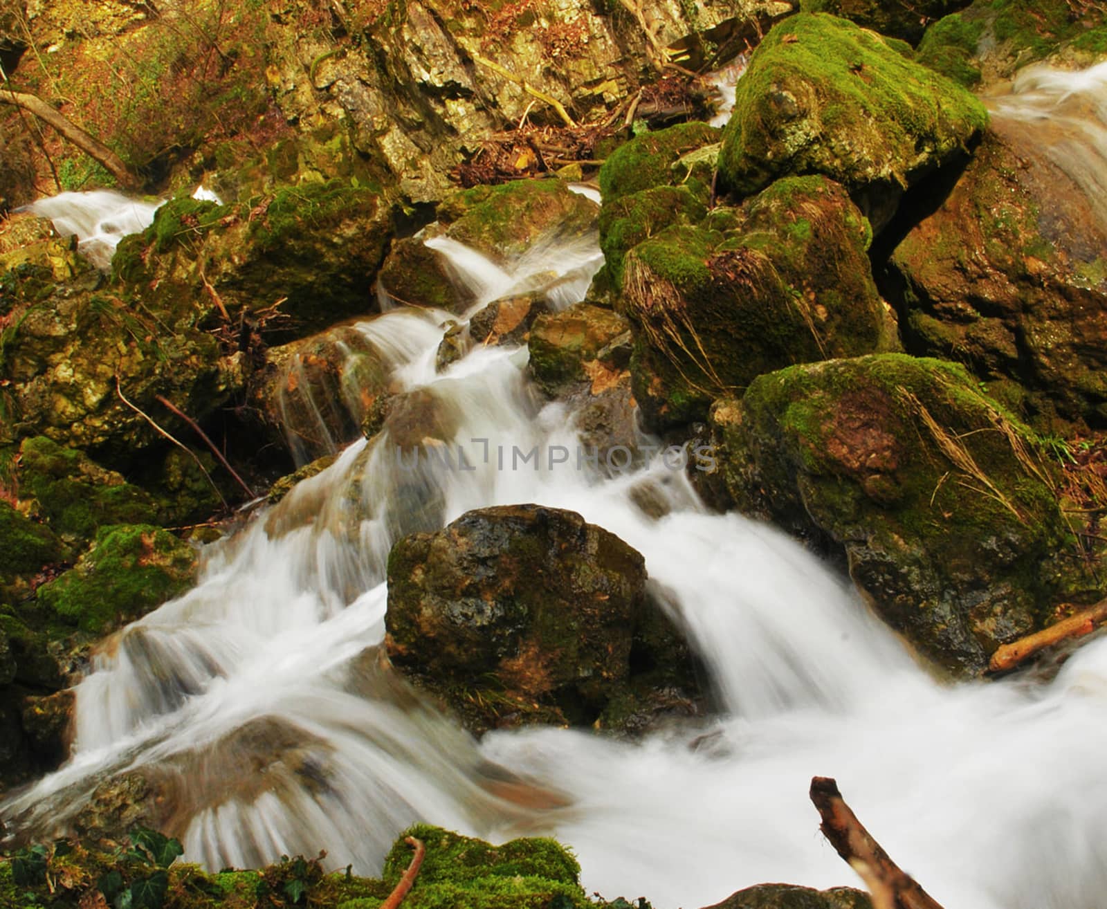 Beautiful pictures of  Switzerland