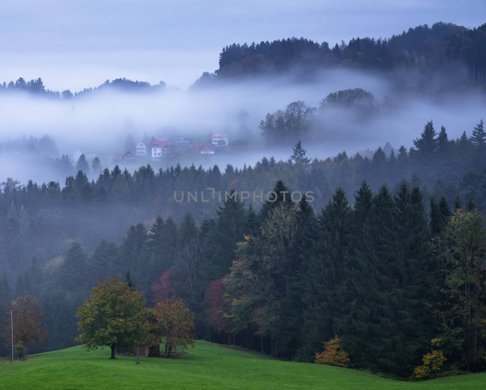 Beautiful pictures of  Switzerland
