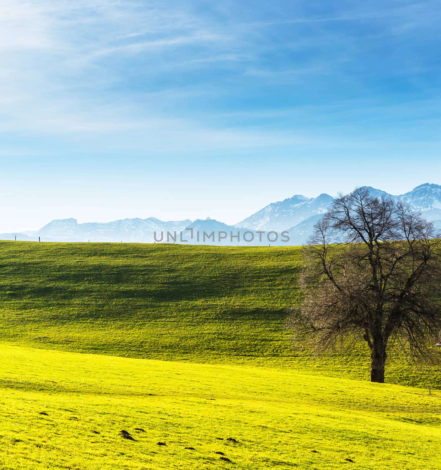 Beautiful pictures of  Switzerland