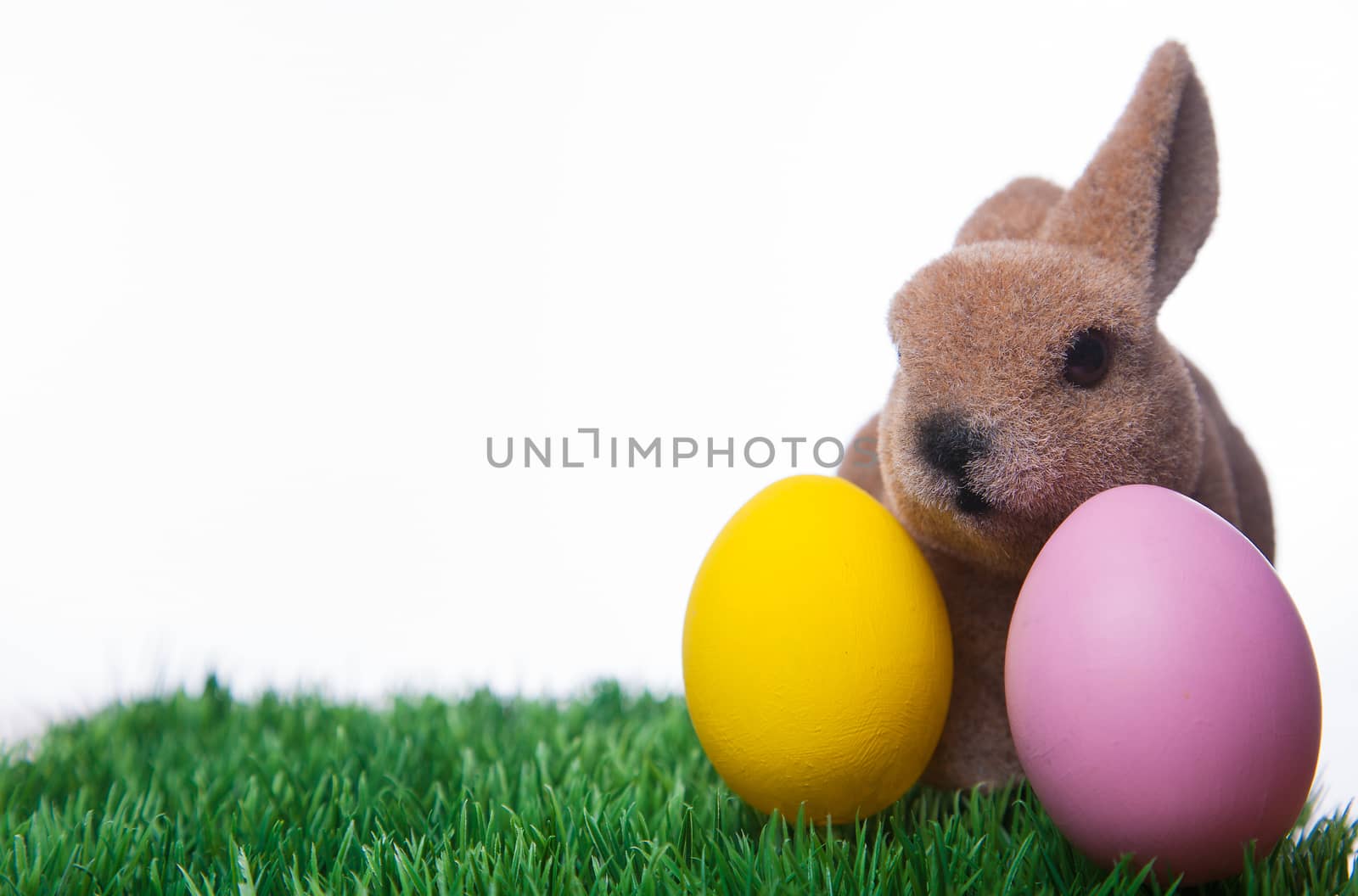 Easter bunny and two Easter eggs in the grass