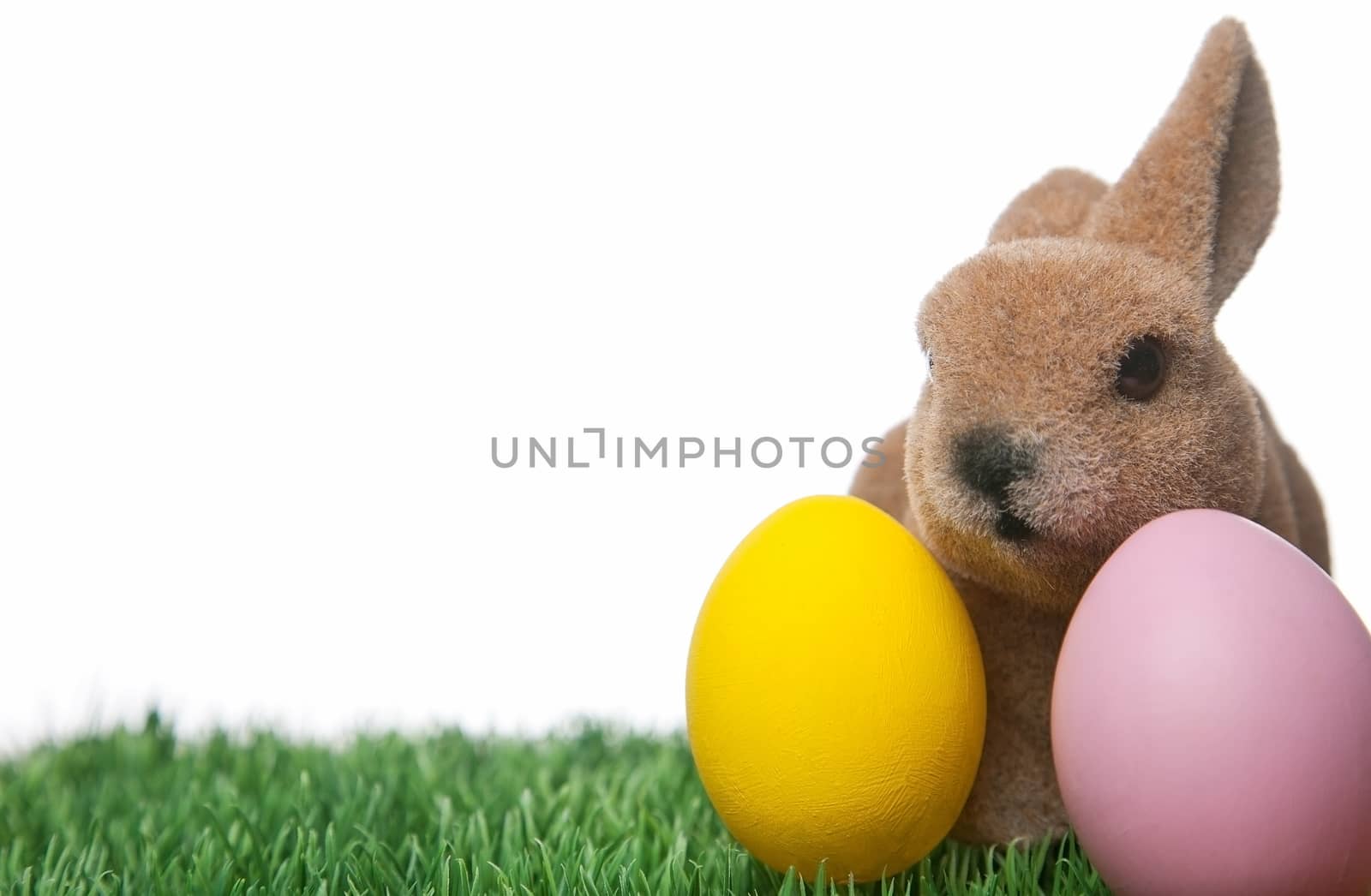 Easter bunny with two painted Easter eggs on white background with copy space