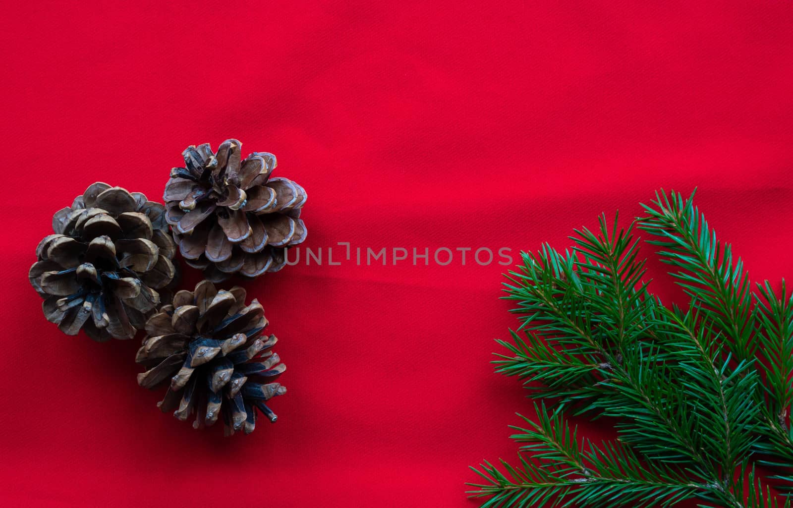Three pine cones and green fir branches lie on a red background. The concept of the New year and Christmas.