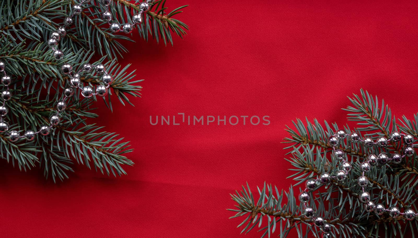 Blue spruce branches with silver beads lie on a red background. The concept of the New year and Christmas.