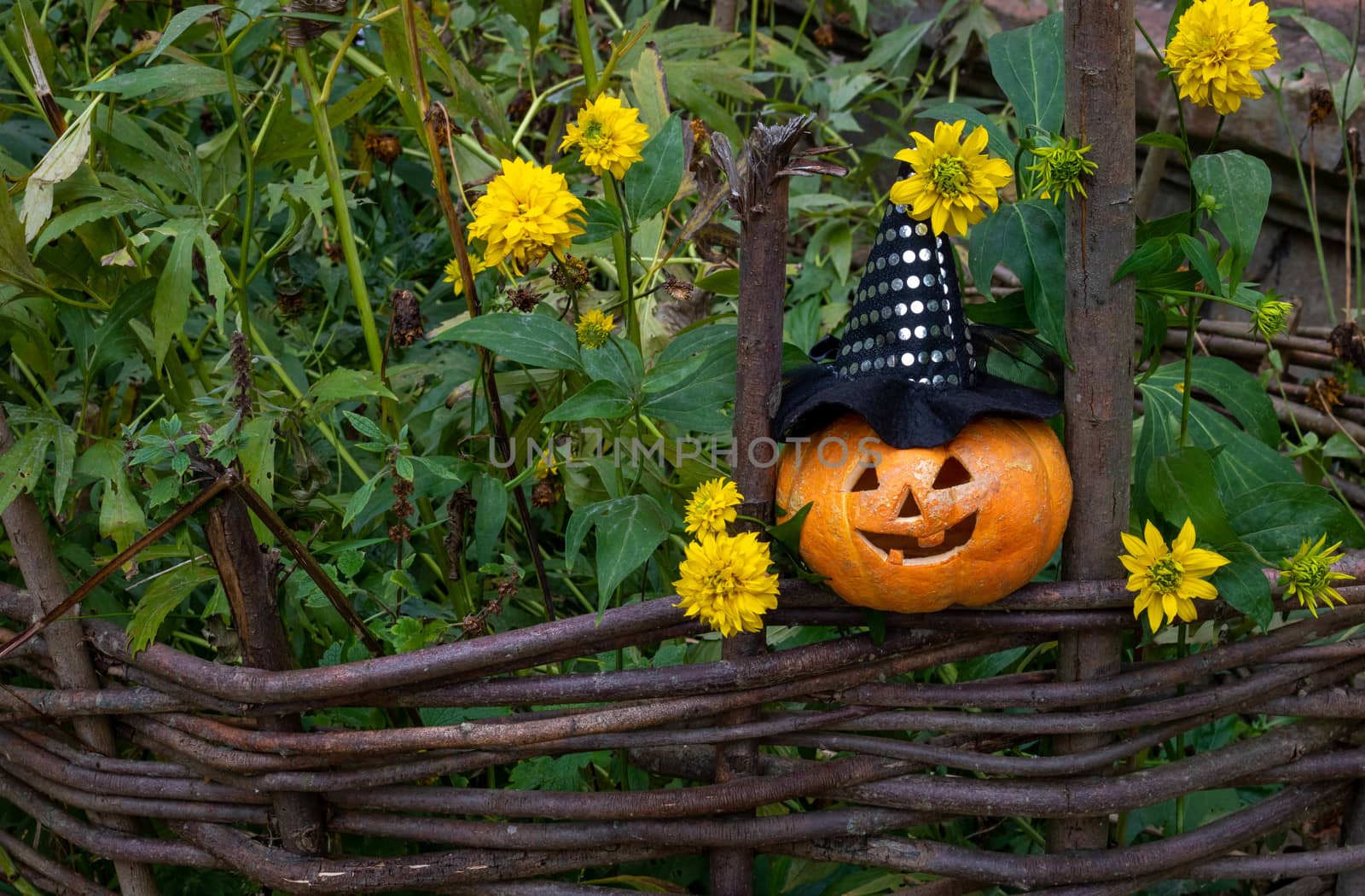 A cheerful pumpkin in a witch's hat is sitting on a fence among yellow flowers.The concept of Halloween.