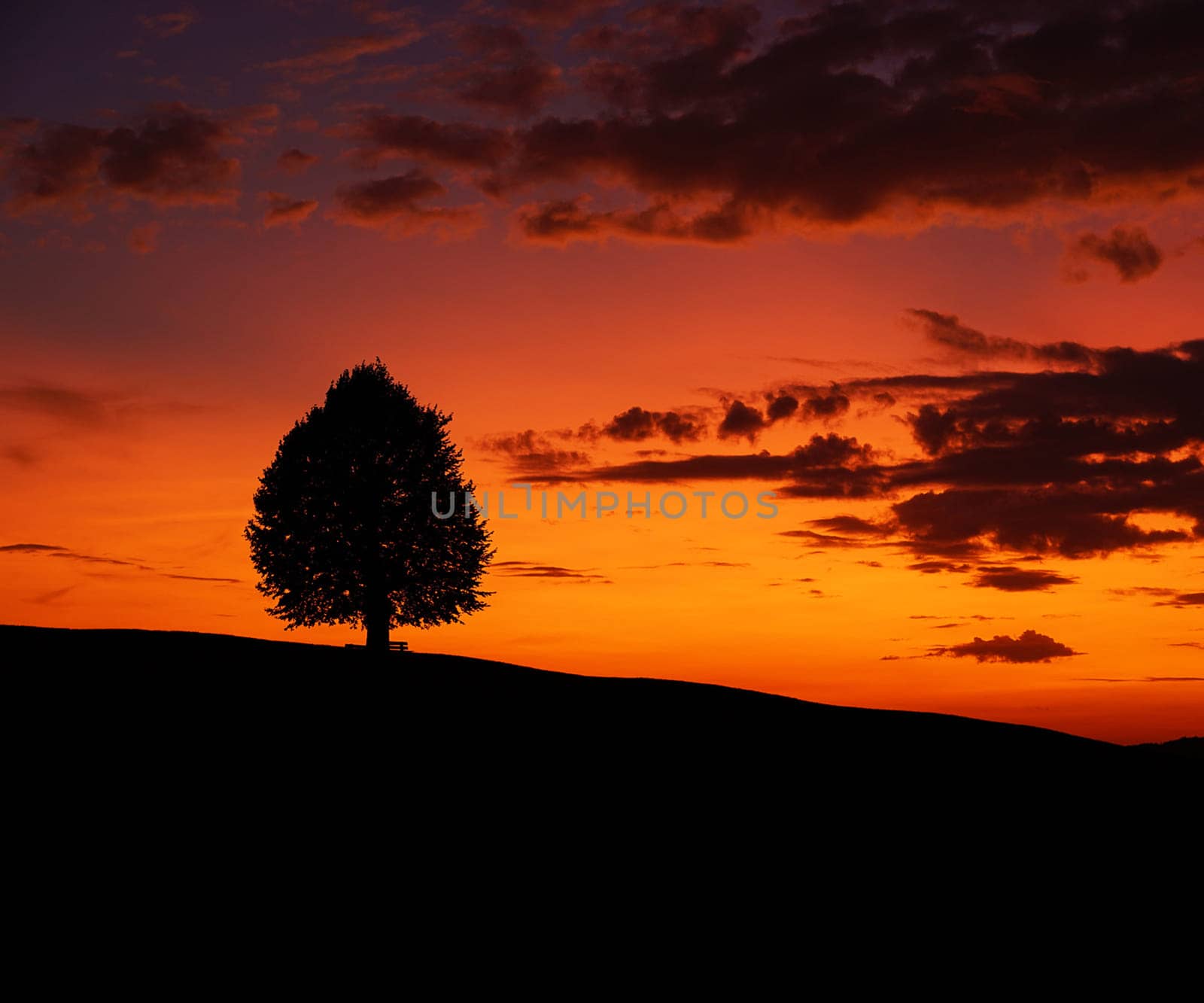 Beautiful pictures of  Switzerland