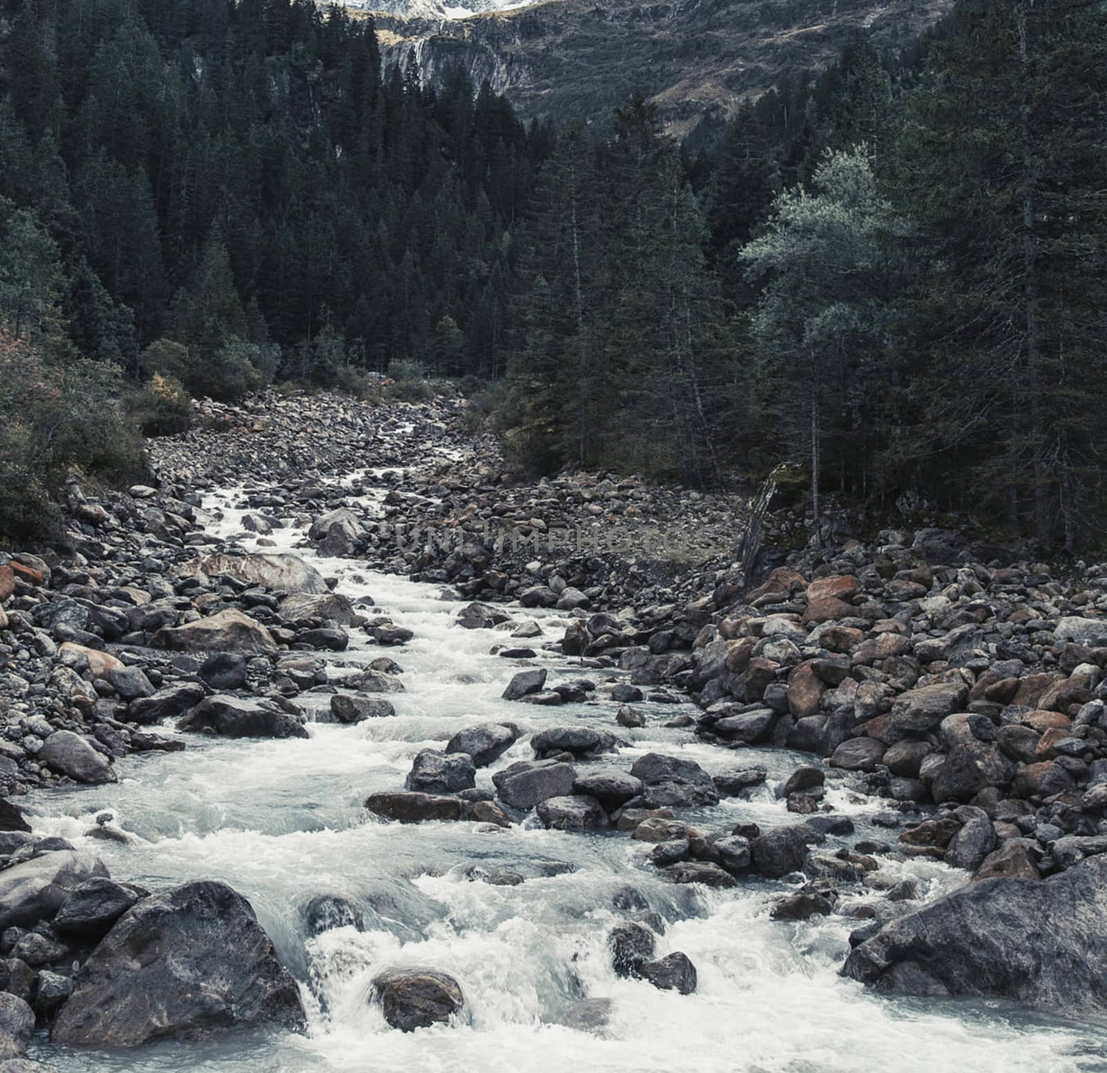 Beautiful pictures of  Switzerland