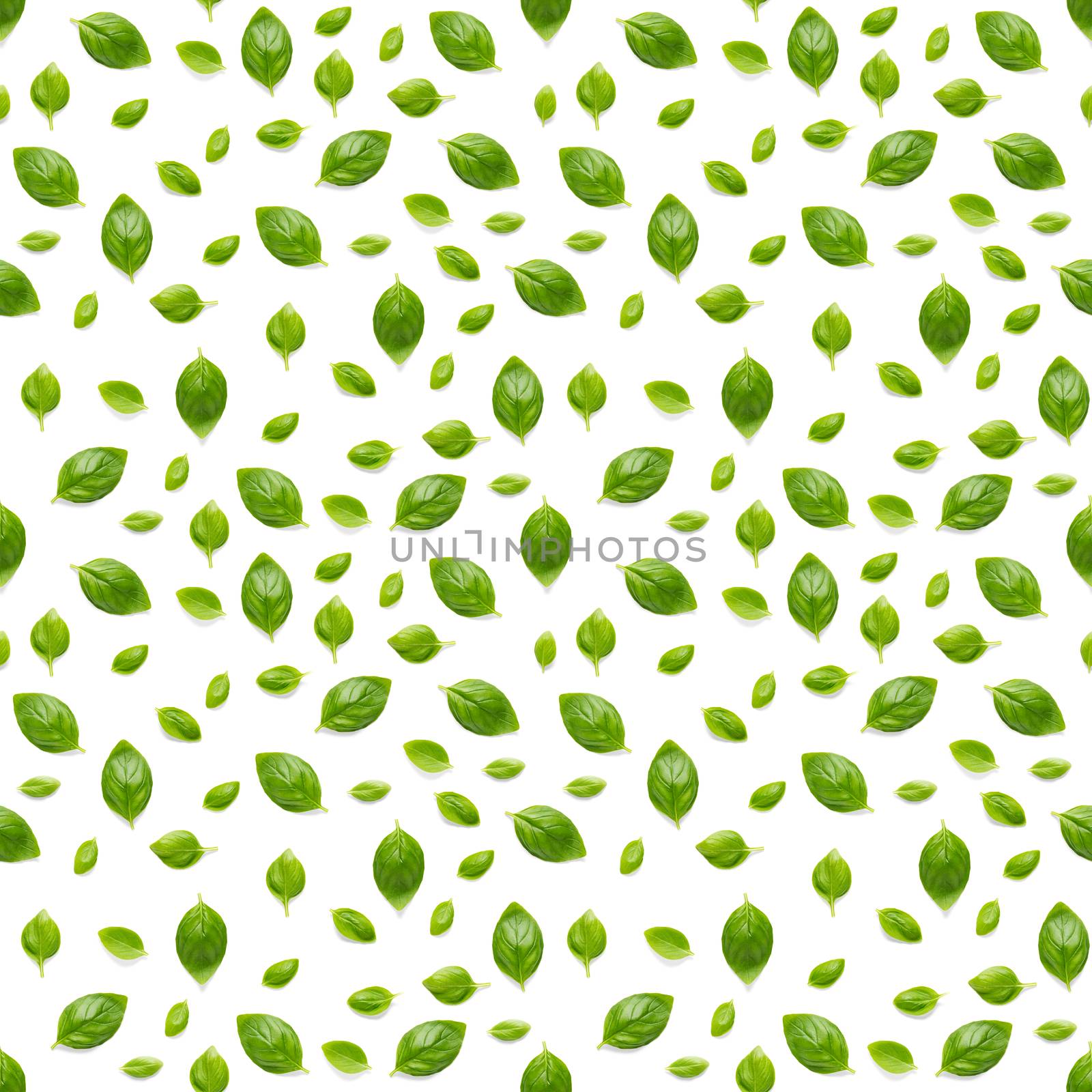 Italian Basil leaf herb seamless pattern on white background, Creative seamless pattern made from fresh green basil flat lay layout. Food ingredient seamless pattern.