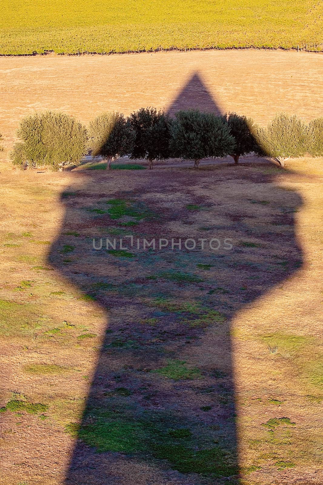 Architectural Shadow On A Grassy Field by 	JacksonStock