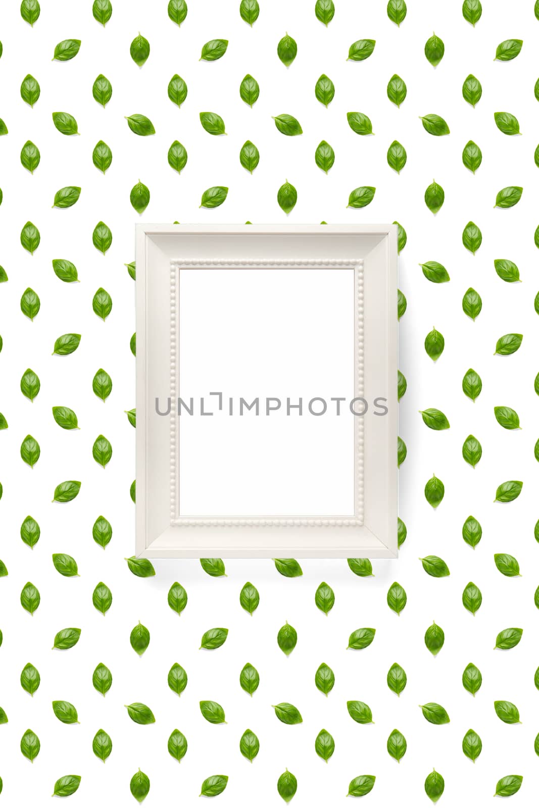 Basil. Green leaves of fresh italian basil background on whte backdrop. Basil leaves isolated on white background. flat lay by PhotoTime