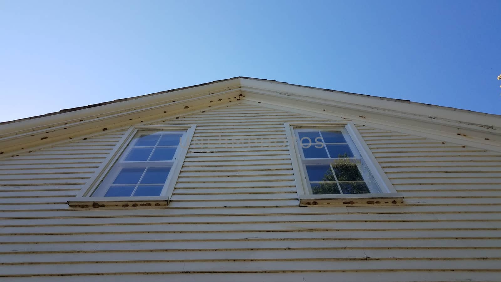 house siding with windows and mud wasp nests by stockphotofan1