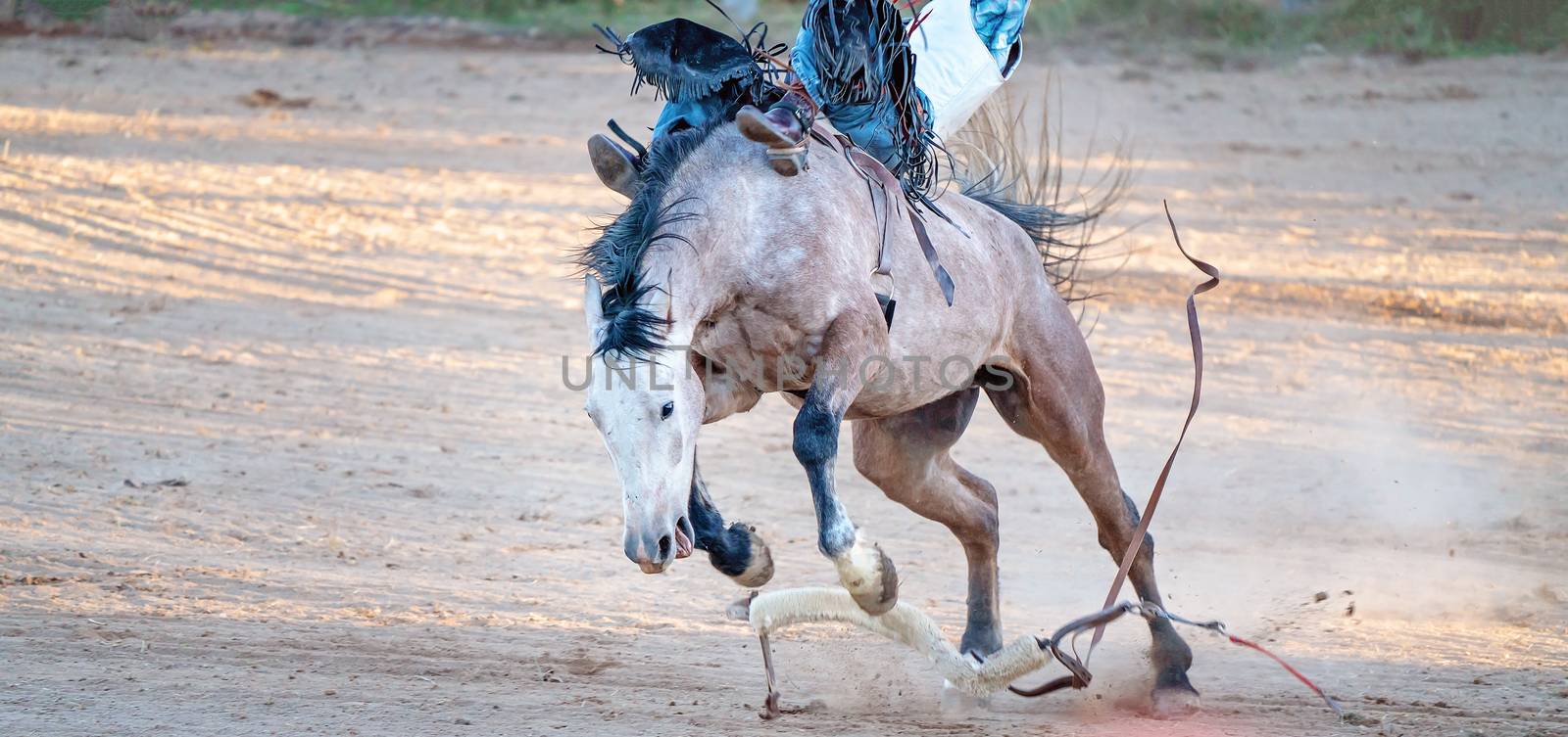 Cowboy rides an energetic bucking bronc horse in a sanctioned competition event at a country rodeo
