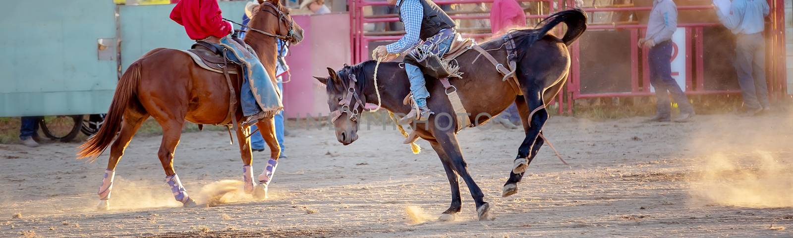 Cowboy Rides A Bucking Horse In Rodeo Event by 	JacksonStock