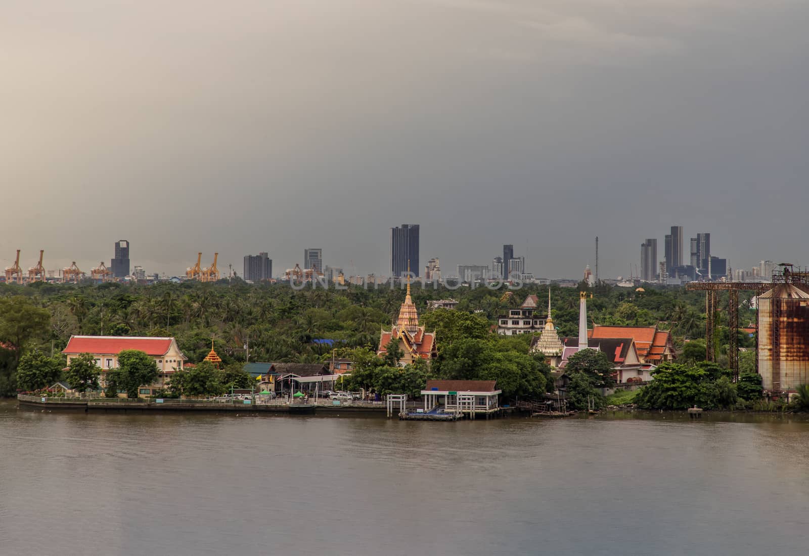Aerial view on green area of Bang kachao lung and with Chao Phraya River. Beautiful nature. Selective focus.