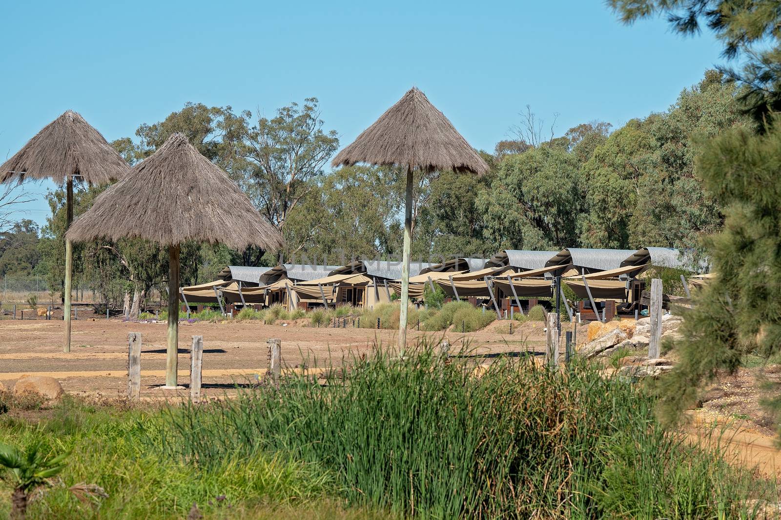 A Bush Camp In Australia by 	JacksonStock