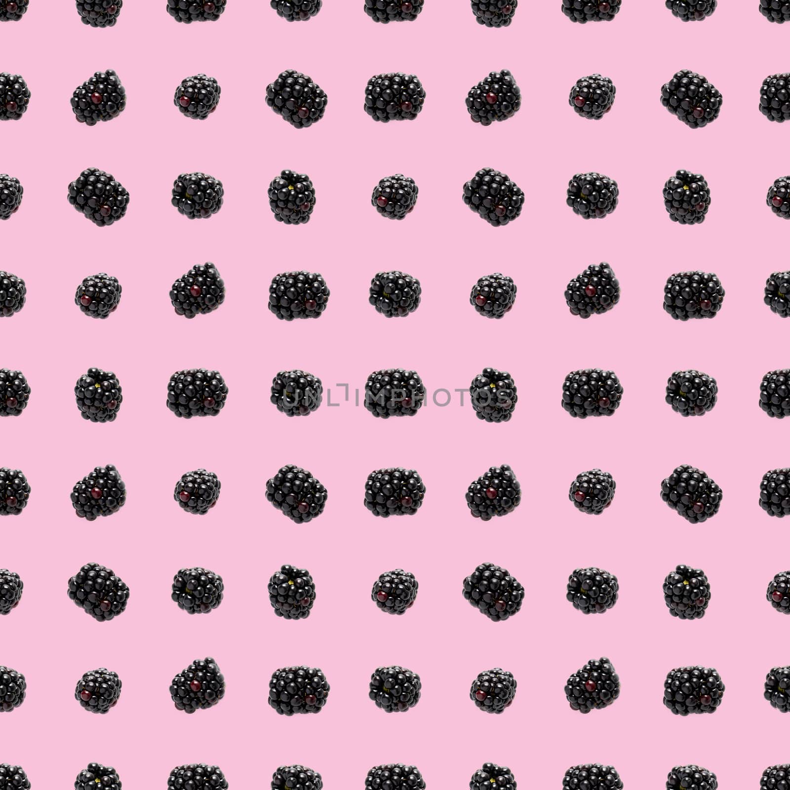 Bramble Seamless pattern. Fresh blackberry seamless pattern. Square pattern with fresh wild berries isolated on pink background. flat lay.