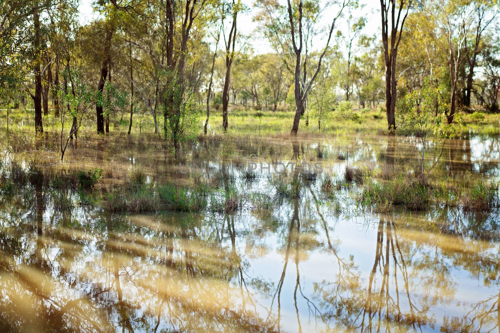 Road Trip - The countryside after much needed rain in areas previously in drought