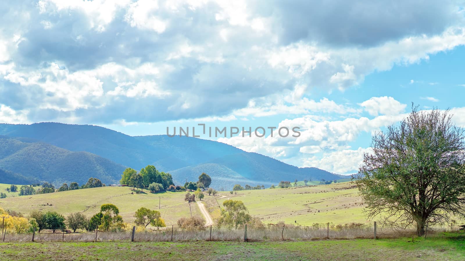 Picturesque Rolling Australian Countryside by 	JacksonStock