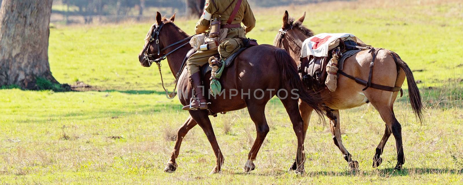 A first aid donkey being led by a rider of the Australian light horse brigade