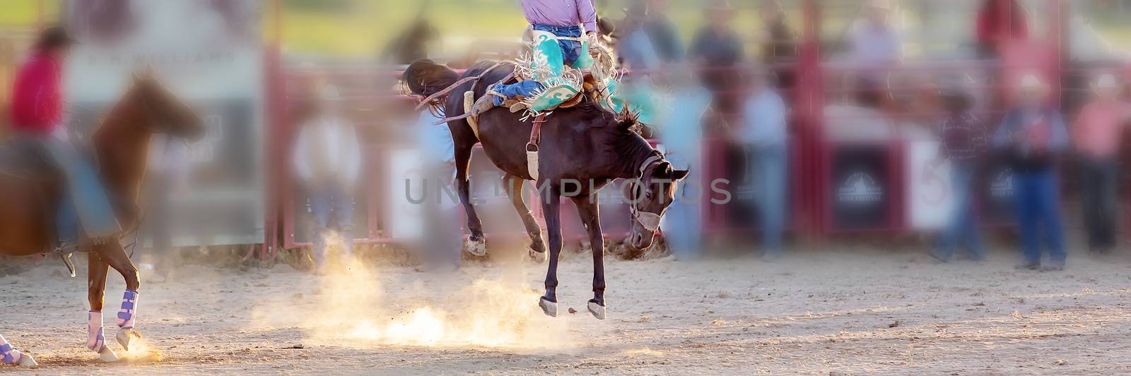 Bucking Horse Riding Rodeo Competition by 	JacksonStock