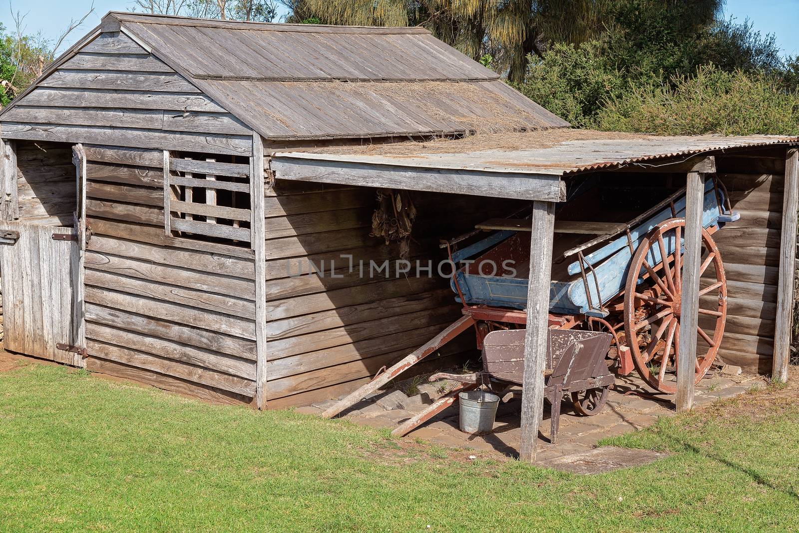 An old timber shed shelters a vintage horse drawn wagon and wheelbarrow from yesteryear - Australia