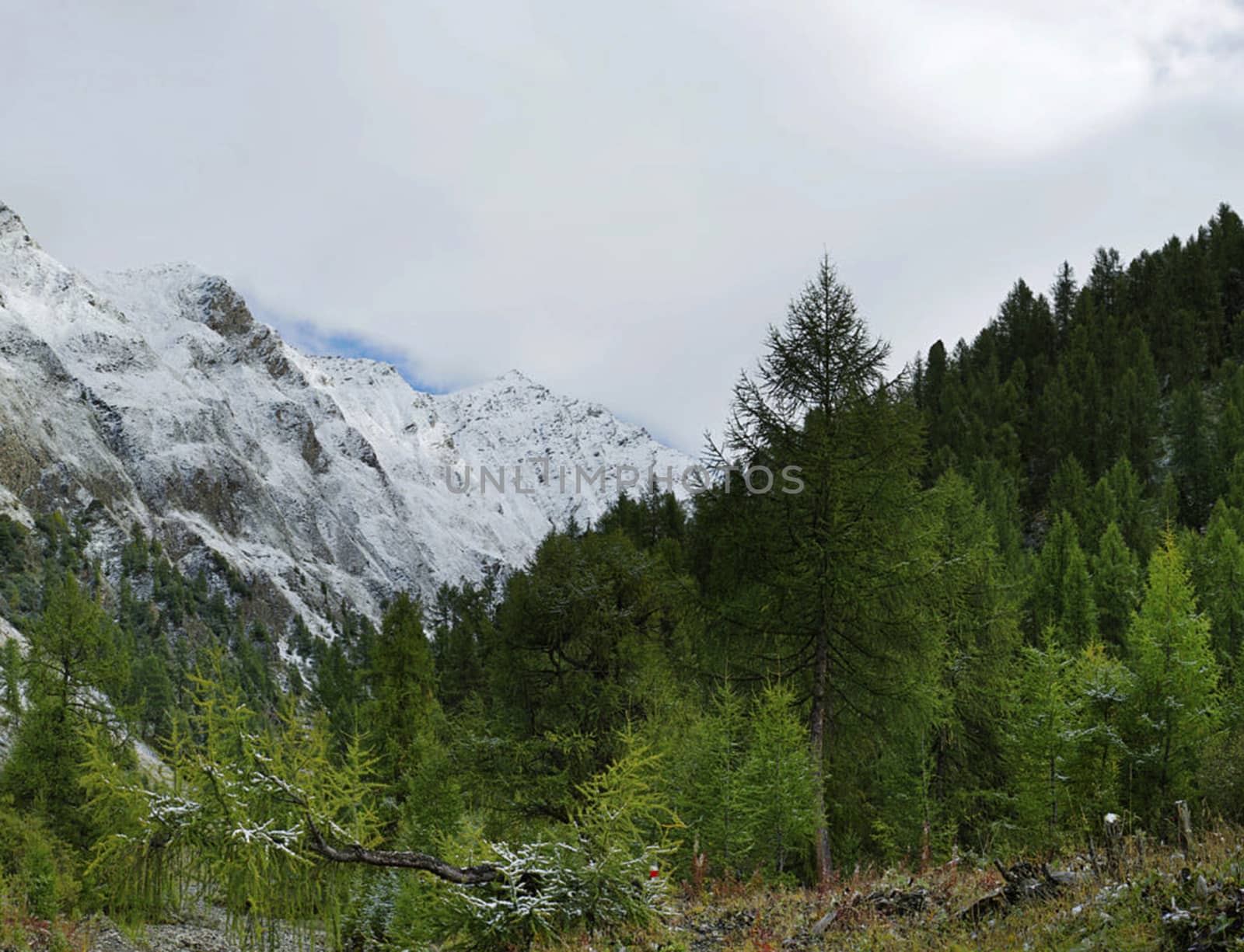 Beautiful pictures of  Switzerland