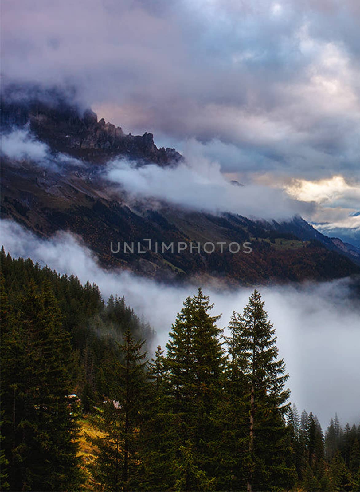 Beautiful pictures of  Switzerland by TravelSync27