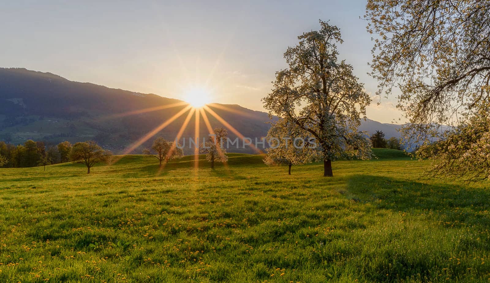 Beautiful pictures of  Switzerland