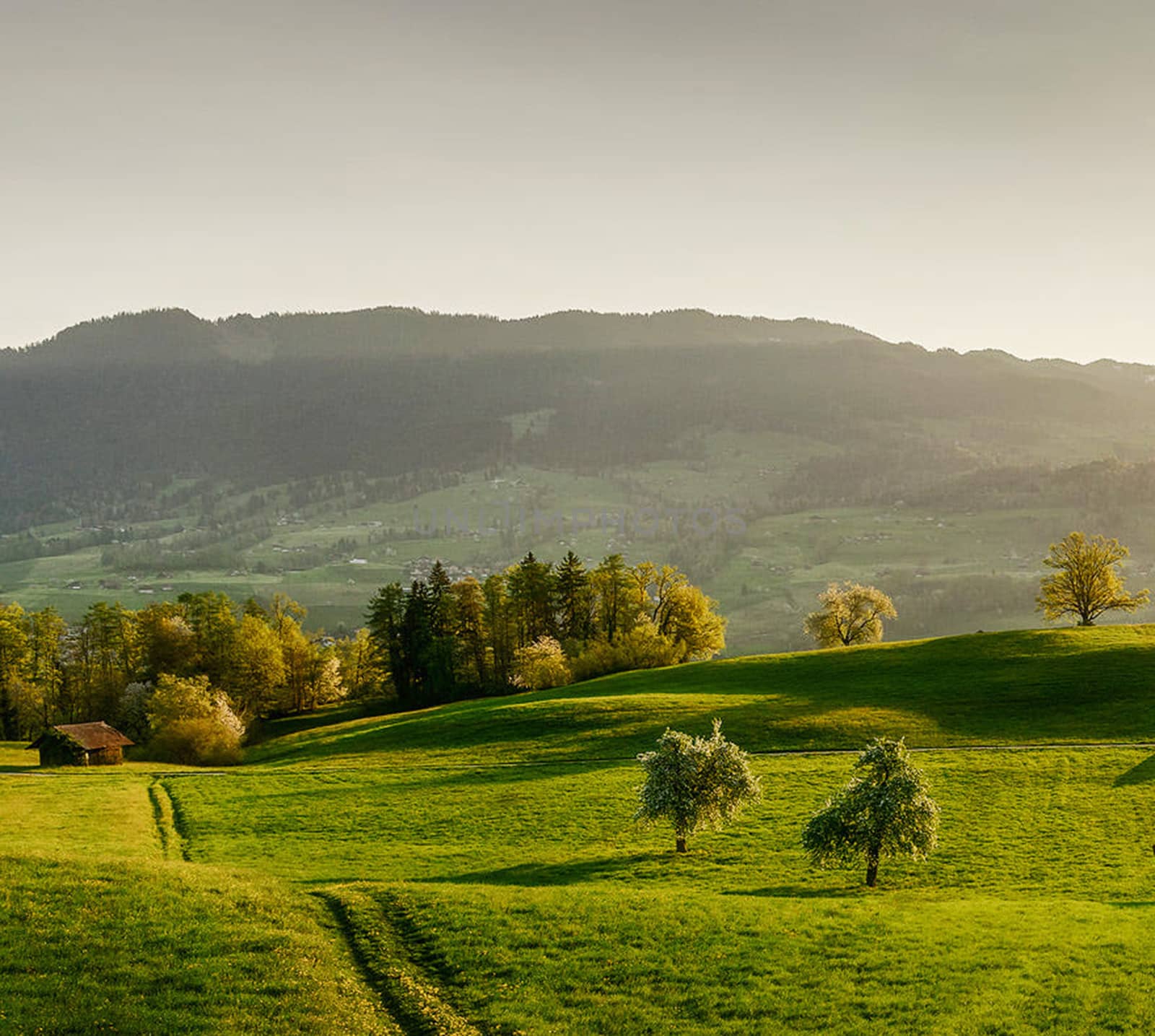 Beautiful pictures of  Switzerland