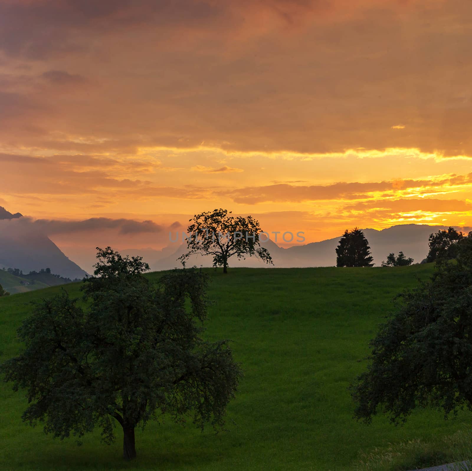 Beautiful pictures of  Switzerland