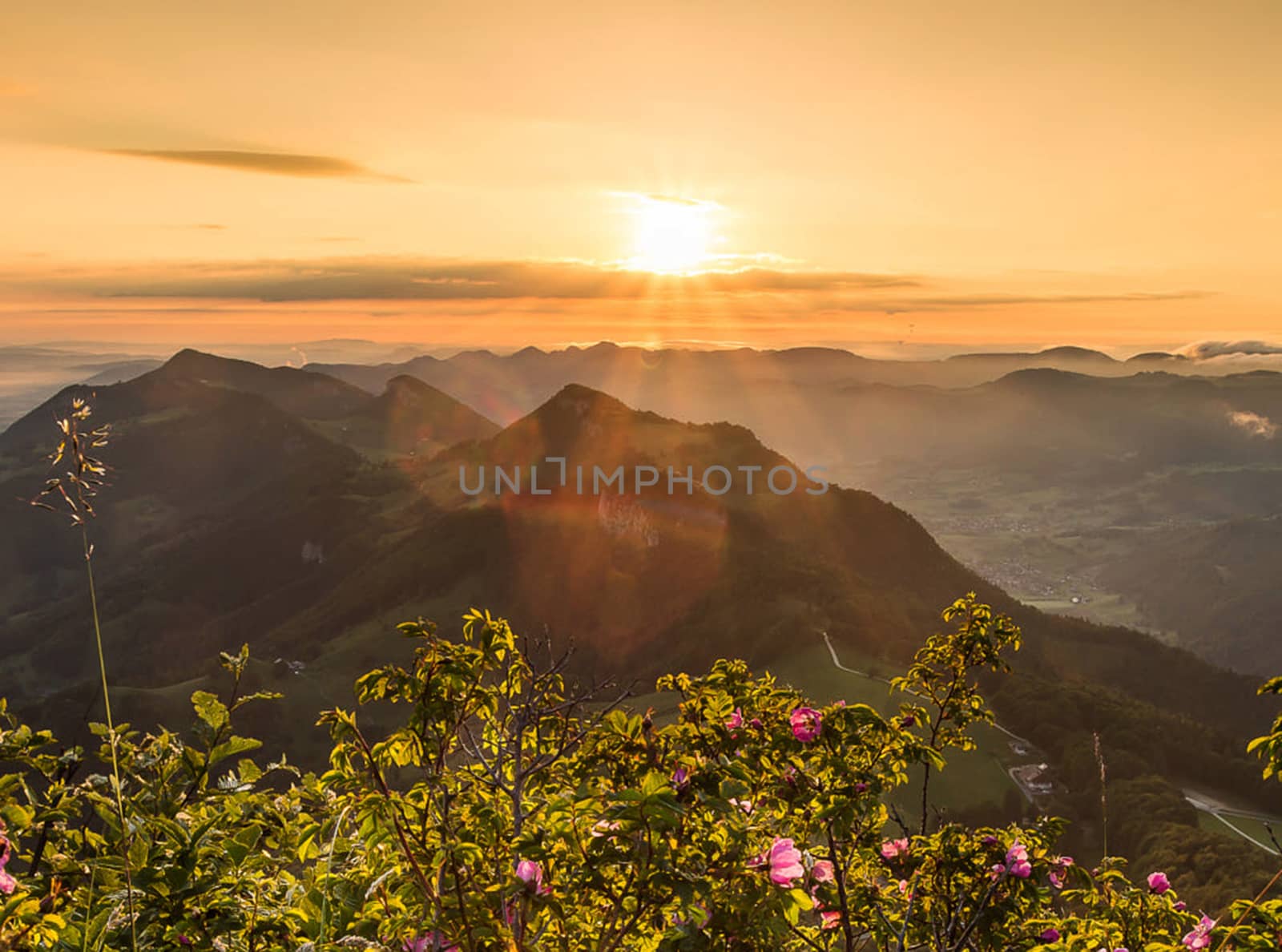 Beautiful pictures of  Switzerland